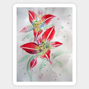 Red Lily Watercolour Painting Sticker